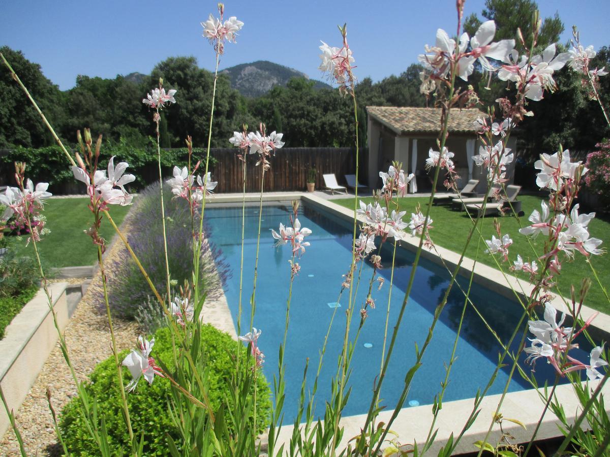 La Bergerie De Nano Bed and Breakfast Beaumes-de-Venise Εξωτερικό φωτογραφία